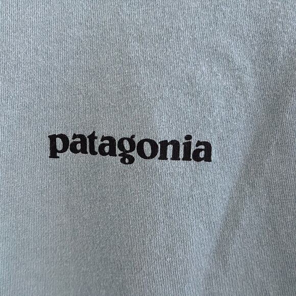 Patagonia 100% Organic Cotton Blue Graphic Tee T-Shirt Regular Fit Small - Picture 3 of 5